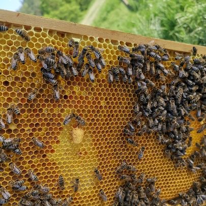 4dfdfbaa 11a4 4f8f ab65 2913e8a523b5