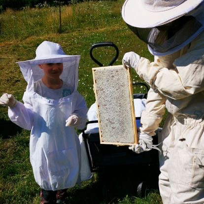 a874917f 8906 4e14 bc64 ebc23a5f6a36