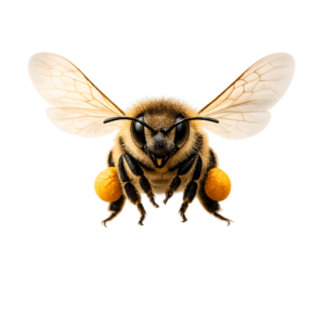 chatgpt image 11. märz 2026, 09 50 42